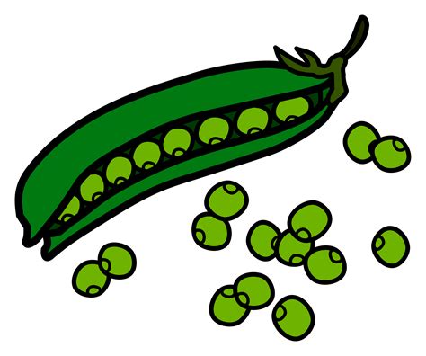 clip art peas|free clip art peas.